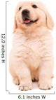 Sitting Golden Retriever Puppy Wall Decal