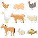 Farm Animals Set Vector Wall Decal