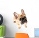 French Bulldog Front White Wall Decal