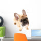 French Bulldog Front White Wall Decal
