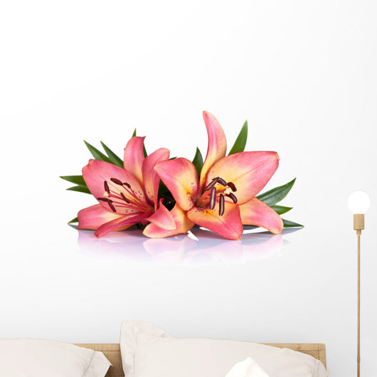 lily flower wall decals Lily Flowers Wall Decal