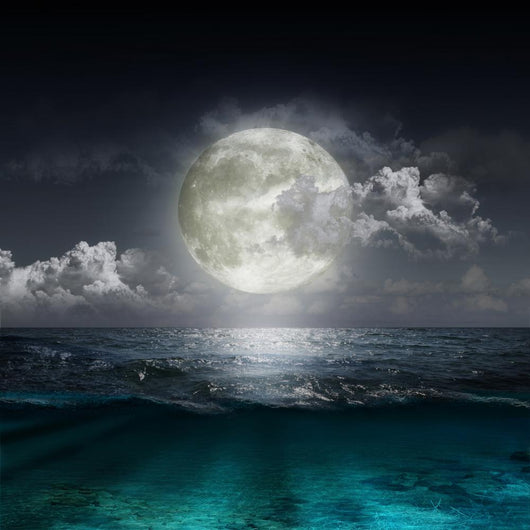 Moon Reflecting Lake Wall Decal