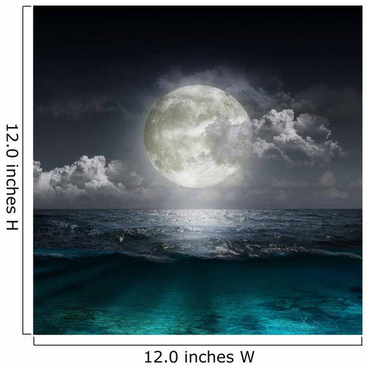 Moon Reflecting Lake Wall Decal