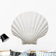 Up Ocean Shell White Wall Decal