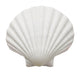 Up Ocean Shell White Wall Decal