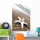 Star Fish Wall Decal
