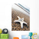 Star Fish Wall Decal