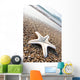 Star Fish Wall Decal