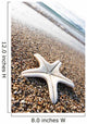 Star Fish Wall Decal