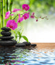 Purple Orchid, Bamboo, Black Stones Near Water Wall Decal