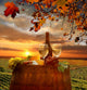 White Wine with Barrel at Sunset Wall Decal