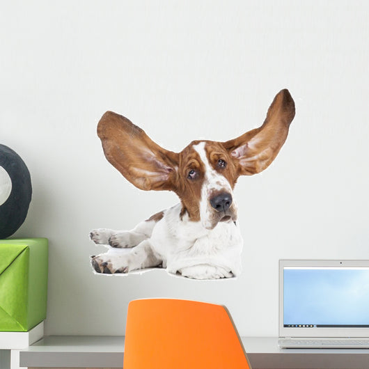Basset Hound White Wall Decal