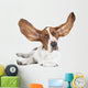 Basset Hound White Wall Decal