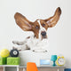 Basset Hound White Wall Decal