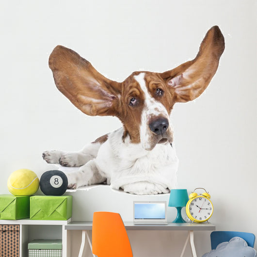 Basset Hound White Wall Decal