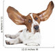 Basset Hound White Wall Decal