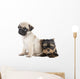 Two Puppy Pug and Wall Decal