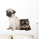 Two Puppy Pug and Wall Decal