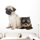 Two Puppy Pug and Wall Decal