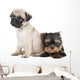 Two Puppy Pug and Wall Decal