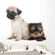 Two Puppy Pug and Wall Decal