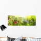 Raspberry Garden Raspberries Sunset Soft Focus Wall Decal