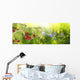 Raspberry Garden Raspberries Sunset Soft Focus Wall Decal
