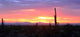 Arizona Sunset Wall Decal