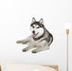 Siberian Husky Wall Decal