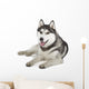 Siberian Husky Wall Decal