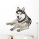 Siberian Husky Wall Decal