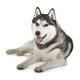 Siberian Husky Wall Decal