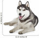 Siberian Husky Wall Decal