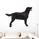 Black Labrador Retriever Wall Decal