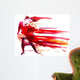 Dancing Couple Wall Decal