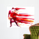 Dancing Couple Wall Decal