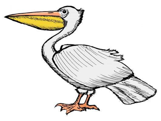 Pelican Wall Decal