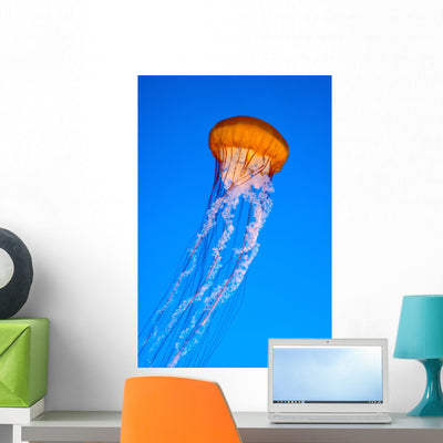 Jellyfish Wall Decal shown on a wall