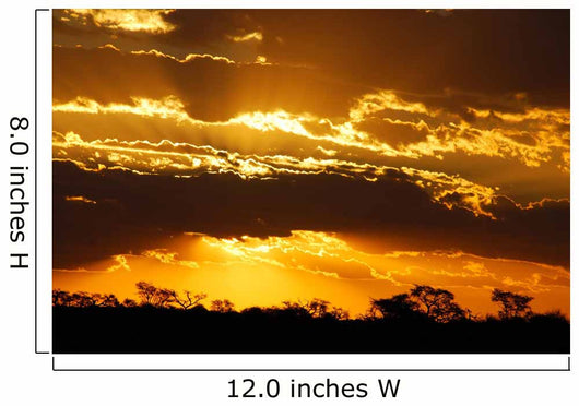 Sunset Savanna Wall Decal