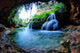 Living Cave Wall Decal