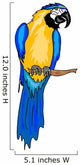 Parrot Illustration Wall Decal