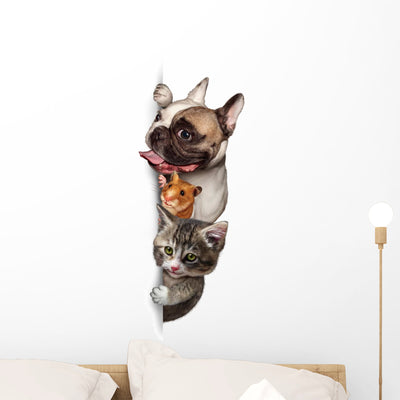 Pet Group Sign Vertical Wall Decal shown on a wall