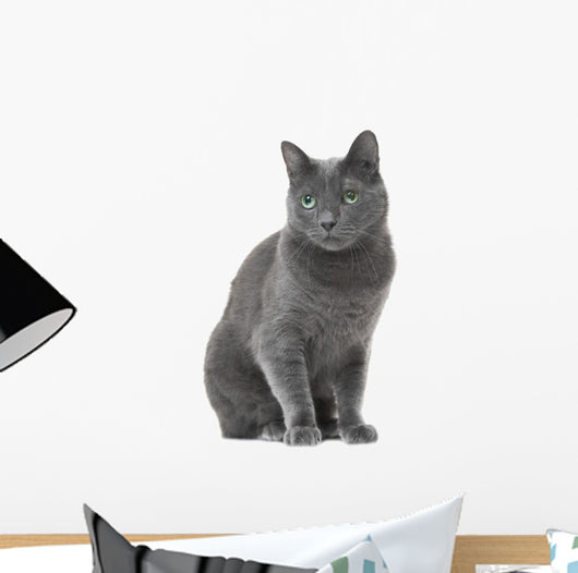 Russian Blue Cat Sitting Wall Decal