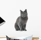 Russian Blue Cat Sitting Wall Decal