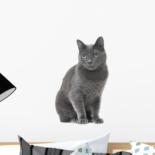 Russian Blue Cat Sitting Wall Decal