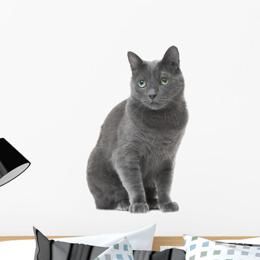 Russian Blue Cat Sitting Wall Decal