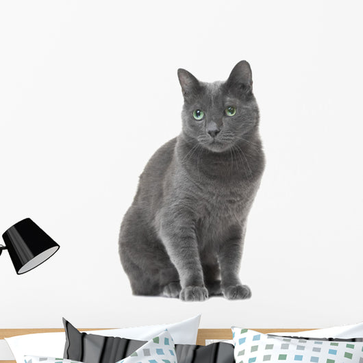 Russian Blue Cat Sitting Wall Decal