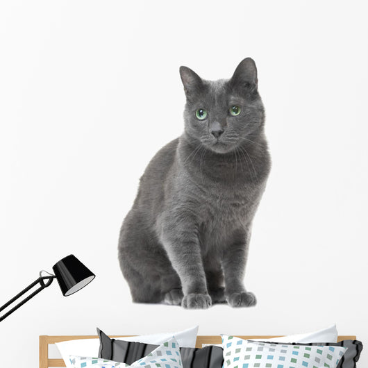 Russian Blue Cat Sitting Wall Decal