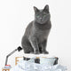 Russian Blue Cat Sitting Wall Decal