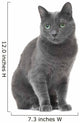 Russian Blue Cat Sitting Wall Decal